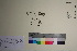  ( - TROM_V_96282_sg)  @11 [ ] CreativeCommons - Attribution Non-Commercial Share-Alike (2016) Unspecified Tromso University Museum