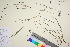  ( - TROM_V_963477_sg)  @11 [ ] CreativeCommons - Attribution Non-Commercial Share-Alike (2016) Unspecified Tromso University Museum