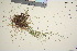  ( - TROM_V_963488_sg)  @11 [ ] CreativeCommons - Attribution Non-Commercial Share-Alike (2016) Unspecified Tromso University Museum