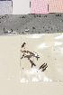  ( - TROM_V_964355_sg)  @11 [ ] CreativeCommons - Attribution Non-Commercial Share-Alike (2018) Unspecified Tromsø University Museum