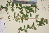  ( - TROM_V_964579_sg)  @11 [ ] CreativeCommons - Attribution Non-Commercial Share-Alike (2017) Unspecified Tromsø University Museum