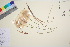  ( - TROM_V_965440_sg)  @11 [ ] CreativeCommons - Attribution Non-Commercial Share-Alike (2016) Unspecified Tromso University Museum