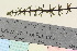  ( - TROM_V_965670_sg)  @11 [ ] CreativeCommons - Attribution Non-Commercial Share-Alike (2016) Unspecified Tromso University Museum