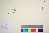  ( - TROM_V_965767_sg)  @11 [ ] CreativeCommons - Attribution Non-Commercial Share-Alike (2016) Unspecified Tromso University Museum