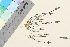  ( - TROM_V_965767_sg)  @11 [ ] CreativeCommons - Attribution Non-Commercial Share-Alike (2016) Unspecified Tromso University Museum