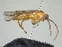  ( - WSSF10)  @12 [ ] CreativeCommons - Attribution Non-Commercial Share-Alike (2013) WSDA Entomology Washington State Department of Agriculture
