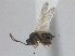  ( - WSSF207)  @14 [ ] CreativeCommons - Attribution Non-Commercial Share-Alike (2013) WSDA Entomology Washington State Department of Agriculture