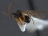  ( - WSSF284)  @13 [ ] CreativeCommons - Attribution Non-Commercial Share-Alike (2013) WSDA Entomology Washington State Department of Agriculture