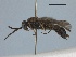  ( - WSSF88)  @13 [ ] CreativeCommons - Attribution Non-Commercial Share-Alike (2013) WSDA Entomology Washington State Department of Agriculture