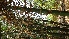  ( - Bb37a)  @11 [ ] No Rights Reserved  Unspecified Unspecified