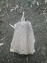 ( - Dgig9)  @11 [ ] No Rights Reserved  Unspecified Unspecified
