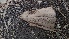  ( - Bbur2)  @11 [ ] No Rights Reserved  Unspecified Unspecified