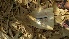 ( - Dham12)  @11 [ ] No Rights Reserved  Unspecified Unspecified