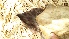  ( - Bb37a)  @11 [ ] No Rights Reserved  Unspecified Unspecified