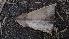  ( - Bbur2)  @11 [ ] No Rights Reserved  Unspecified Unspecified
