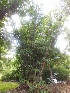  ( - Dgig9)  @11 [ ] No Rights Reserved  Unspecified Unspecified
