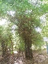  ( - Bb37a)  @11 [ ] No Rights Reserved  Unspecified Unspecified