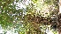  ( - Bbur2)  @11 [ ] No Rights Reserved  Unspecified Unspecified