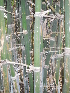  ( - Bbur2)  @11 [ ] No Rights Reserved  Unspecified Unspecified