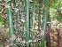  ( - Bb37a)  @11 [ ] No Rights Reserved  Unspecified Unspecified