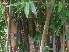  ( - Dgig9)  @11 [ ] No Rights Reserved  Unspecified Unspecified