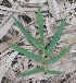  ( - Bbur2)  @11 [ ] No Rights Reserved  Unspecified Unspecified