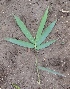  ( - Btul5)  @11 [ ] No Rights Reserved  Unspecified Unspecified