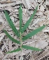  ( - Bbur2)  @11 [ ] No Rights Reserved  Unspecified Unspecified