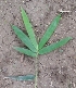  ( - Btul5)  @11 [ ] No Rights Reserved  Unspecified Unspecified