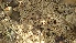  ( - Bb37a)  @11 [ ] No Rights Reserved  Unspecified Unspecified