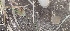  ( - Bbur2)  @11 [ ] No Rights Reserved  Unspecified Unspecified
