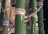  ( - Bbur2)  @11 [ ] No Rights Reserved  Unspecified Unspecified