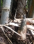  ( - Bbur2)  @11 [ ] No Rights Reserved  Unspecified Unspecified
