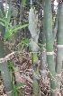 ( - Btul5)  @11 [ ] No Rights Reserved  Unspecified Unspecified