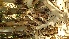  ( - Dham12)  @11 [ ] No Rights Reserved  Unspecified Unspecified