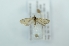  ( - CMW_BC0605)  @11 [ ] copyright (2025) Unspecified POESE
