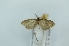  ( - CMW_BC0625)  @11 [ ] copyright (2025) Unspecified POESE