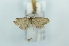  ( - CMW_BC0626)  @11 [ ] copyright (2025) Unspecified POESE