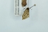  ( - CMW_BC0627)  @11 [ ] copyright (2025) Unspecified POESE
