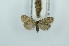  ( - CMW_BC0631)  @11 [ ] copyright (2025) Unspecified POESE
