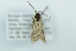  ( - CMW_BC0671)  @11 [ ] copyright (2025) Unspecified POESE