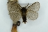  ( - CMW_BC0680)  @11 [ ] copyright (2025) Unspecified POESE