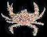  ( - BOIMB_2102)  @11 [ ] CreativeCommons  Attribution Non-Commercial Share-Alike (2019) The Smithsonian Institution The Smithsonian Institution National Museum of Natural History, Department of Invertebrate Zoology