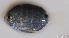  ( - 20120321_007)  @11 [ ] CreativeCommons Attribution ShareAlike (2012) Adeline Collet OCEA Consult