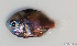  ( - 20130113_039)  @11 [ ] CreativeCommons Attribution ShareAlike (2013) Adeline Collet OCEA Consult