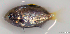  ( - 20130211_009)  @11 [ ] CreativeCommons Attribution ShareAlike (2013) Adeline Collet OCEA Consult