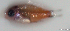  ( - 20130212_020)  @11 [ ] CreativeCommons Attribution ShareAlike (2013) Adeline Collet OCEA Consult