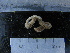  ( - MACNINVCTAP0018)  @11 [ ] CreativeCommons - Attribution Non-Commercial (2013) Unspecified MACN