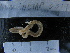  ( - MACNINVCTAP0019)  @11 [ ] CreativeCommons - Attribution Non-Commercial (2013) Unspecified MACN