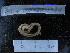  ( - MACNINVCTAP0020)  @11 [ ] CreativeCommons - Attribution Non-Commercial (2013) Unspecified MACN